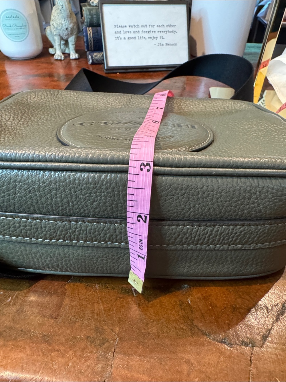 Coach Dempsey Pebbled Leather Camera Bag in Olive - Picture 12 of 13